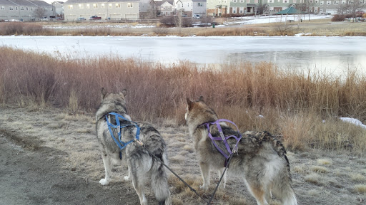 Park «Sage Creek Park», reviews and photos, 9500 Civic Center Dr, Thornton, CO 80229, USA