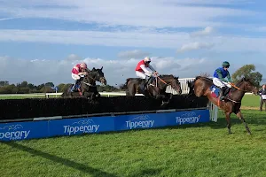Tipperary Racecourse image