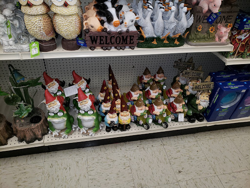 Discount Store «Big Lots», reviews and photos, 1612 N State St, Greenfield, IN 46140, USA