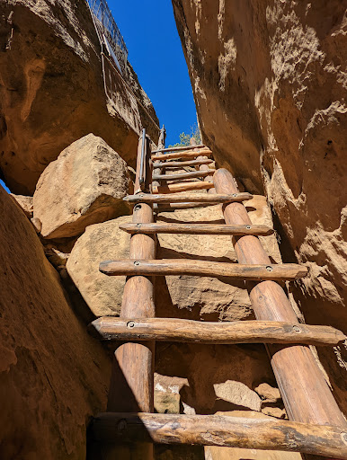 Archaeological Site «Cliff Palace», reviews and photos