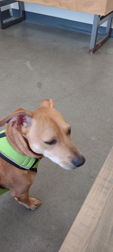 Pet Supply Store «Petco Animal Supplies», reviews and photos, 20825 I-30, Benton, AR 72015, USA