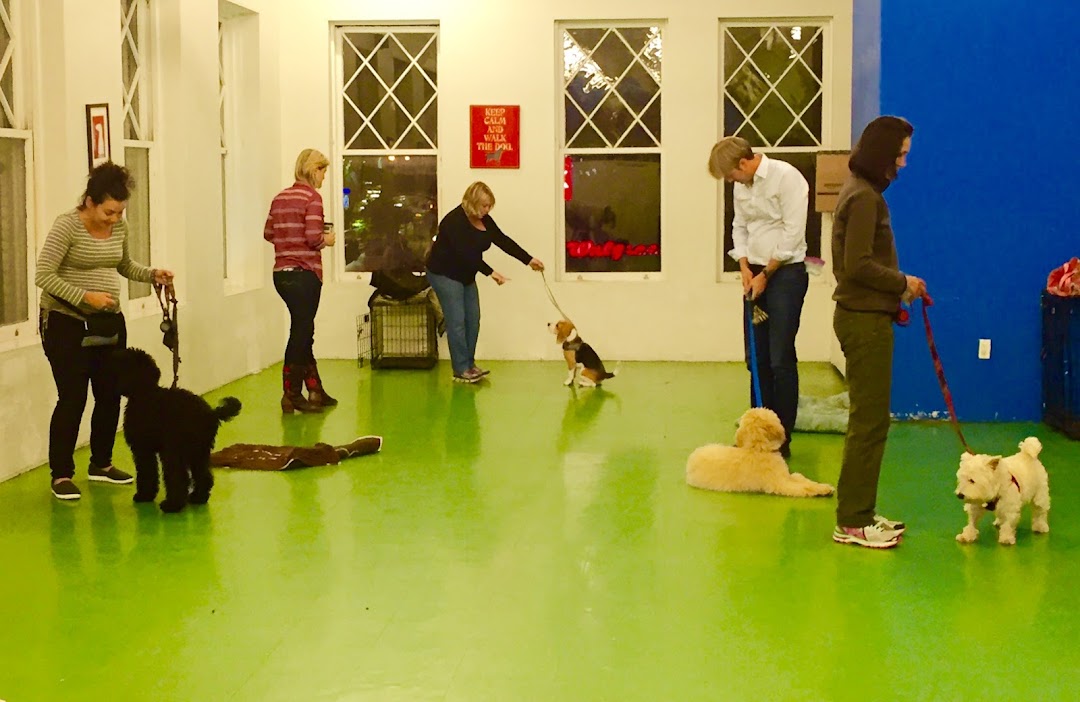 Amanda Gagnon Dog Training Inc.