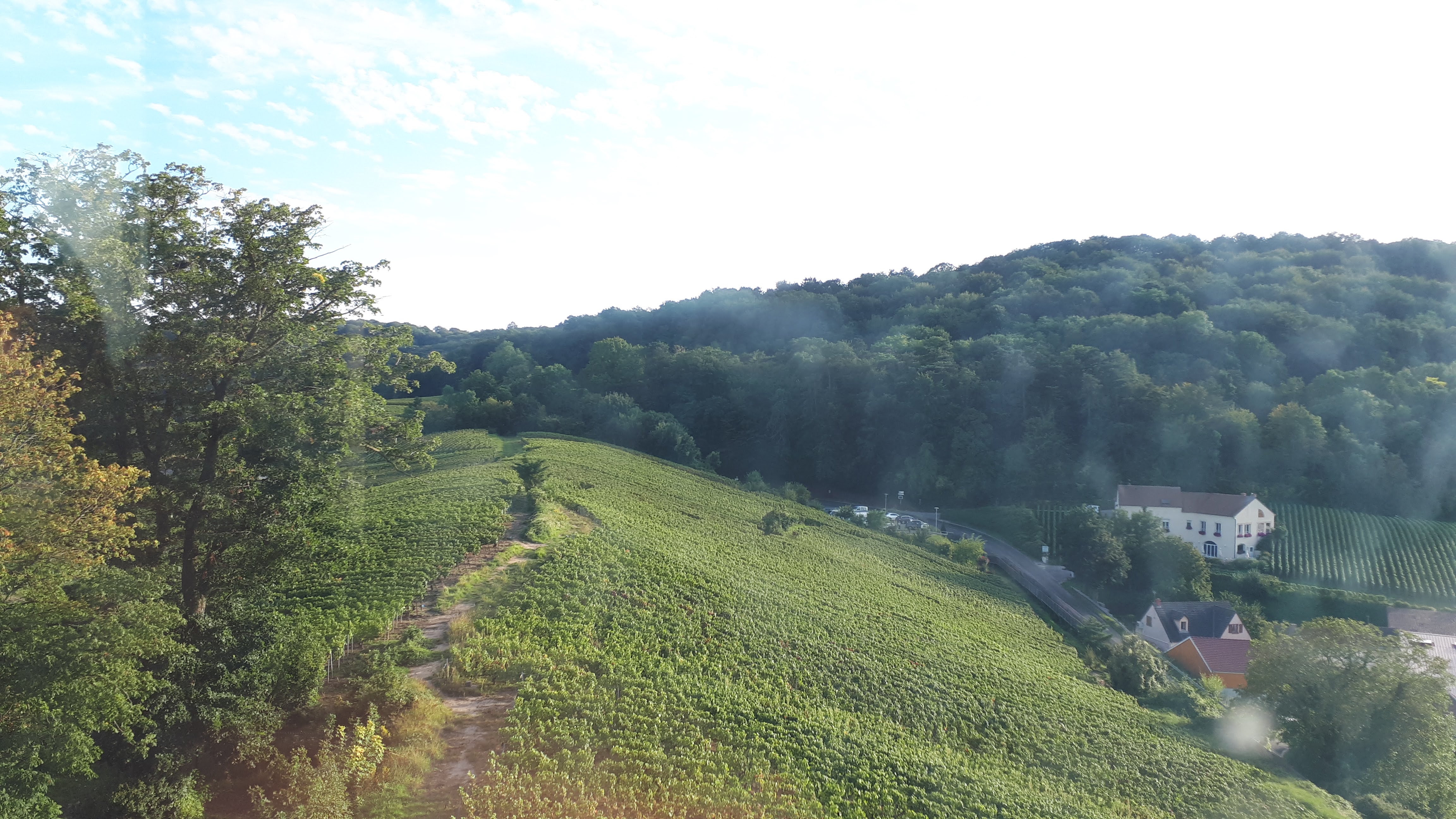 Photo n° 11 de l'avis de Françoise.o fait le 21/09/2021 à 16:22