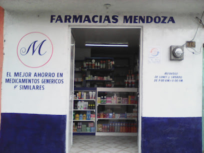 Farmacias Mendoza Independencia 108-114, Tianguistenco De Galeana, 52600 Santiago Tianguistenco, Méx. Mexico