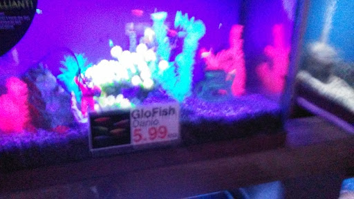 Tropical Fish Store «Midway Tropical Fish & Pets», reviews and photos, 24101 Pacific Hwy S, Kent, WA 98032, USA