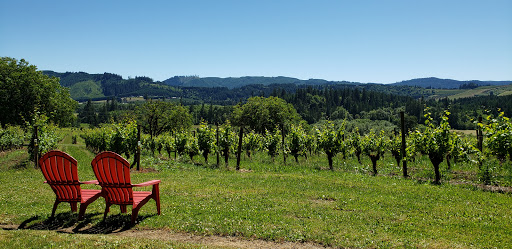 Vineyard «Tualatin Estate Vineyard», reviews and photos, 10850 NW Seavey Rd, Forest Grove, OR 97116, USA