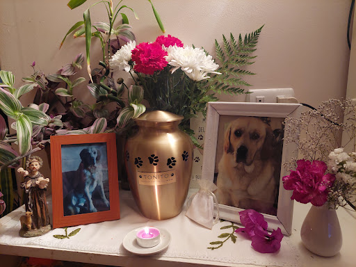 Crematorio de Mascotas Pet's Eden / La Serena y Coquimbo en Coquimbo, La Serena