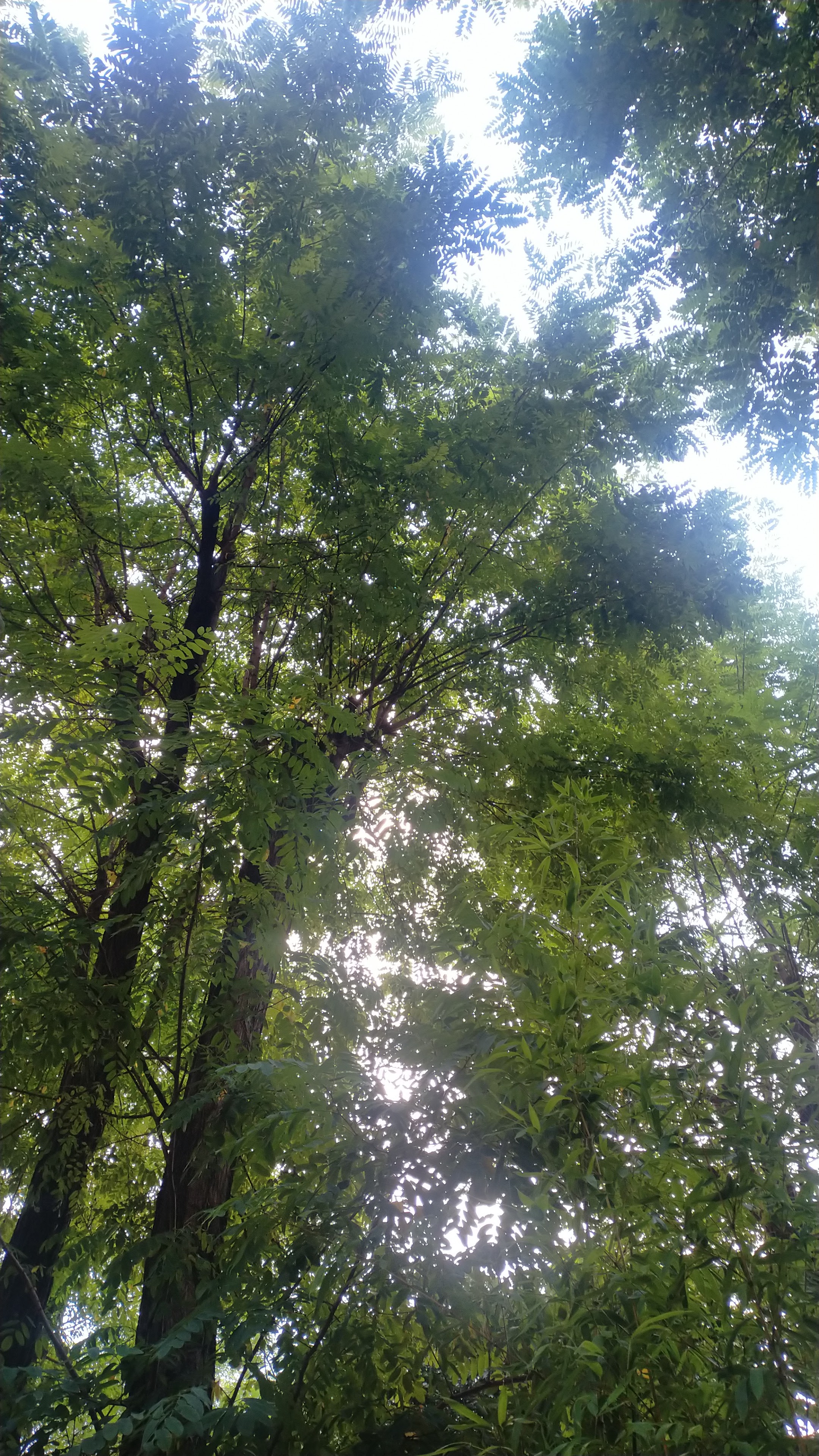 Photo n° 1 de l'avis de Véro.e fait le 02/09/2023 à 13:09