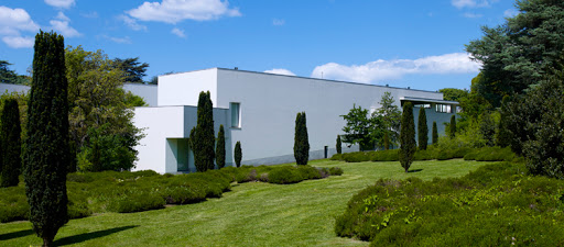 Museu de Arte Contemporânea de Serralves