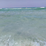 Photo n°1 de l'avis de MaxRecensioni. fait le 25/08/2020 à 13:09 sur le  Lido Sottovento Gallipoli à Gallipoli