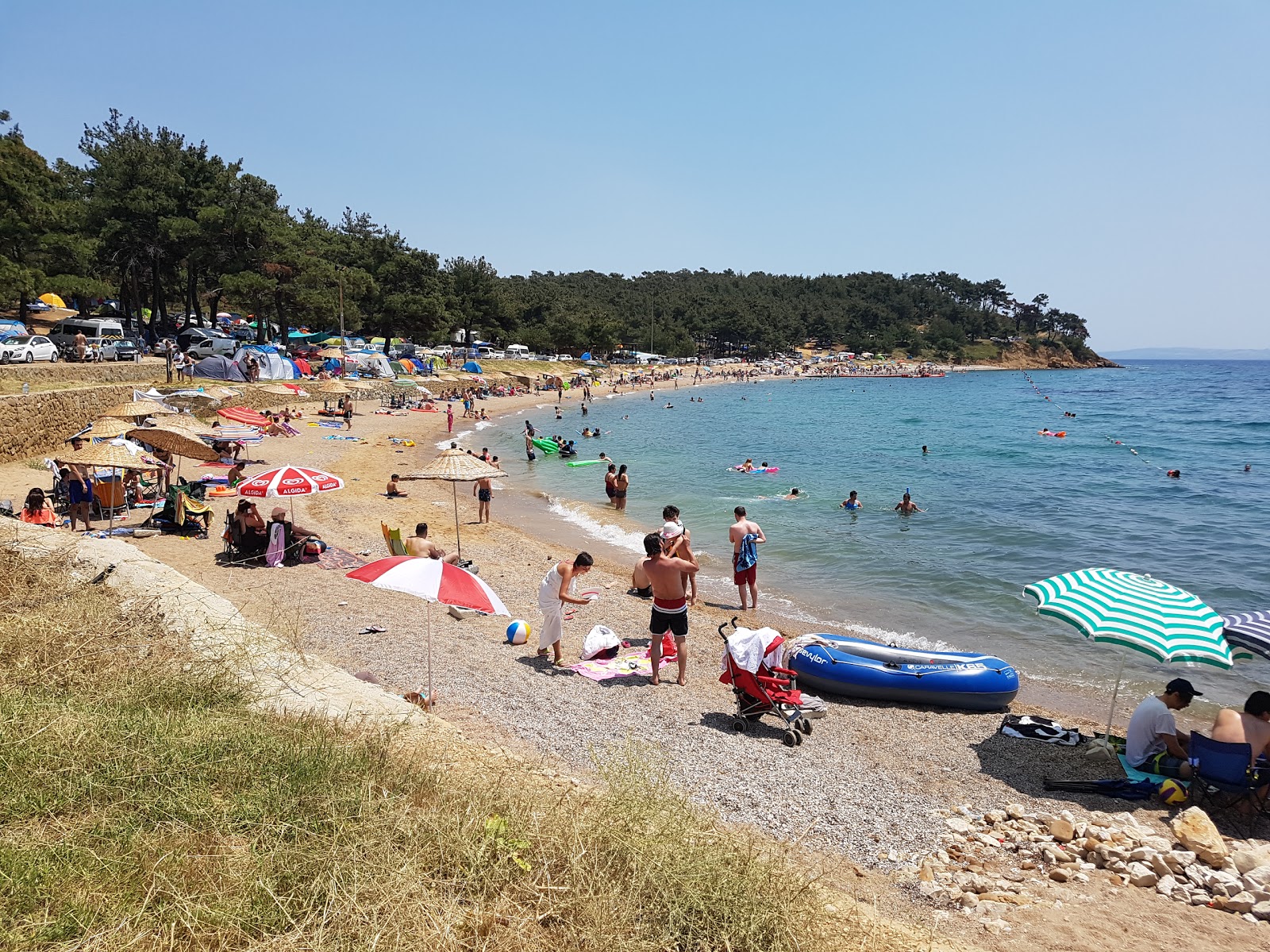 Foto di Sait faik beach III con molto pulita livello di pulizia