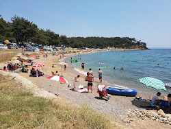 Foto di Sait faik beach III con molto pulita livello di pulizia