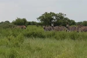 Mafikeng Game Reserve image