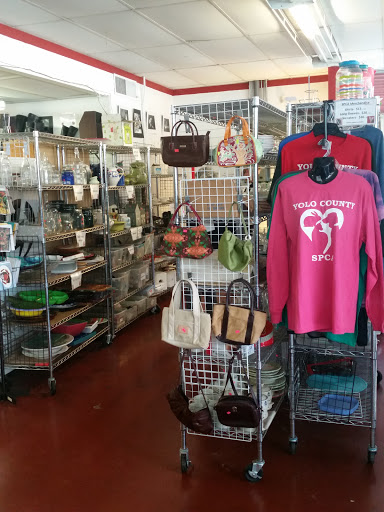 Thrift Store «SPCA Yolo County Thrift Store», reviews and photos, 920 3rd St A,F, Davis, CA 95616, USA