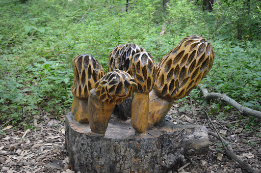 Farm «Arbor Day Farm», reviews and photos, 2611 Arbor Ave, Nebraska City, NE 68410, USA