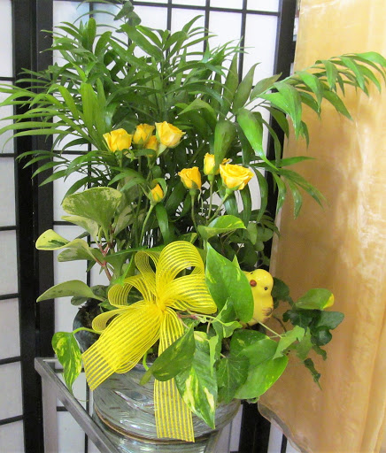 Florist «Callaraes Floral Events», reviews and photos, 168 S Charles Richard Beall Blvd, DeBary, FL 32713, USA