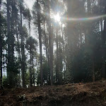 Photo n° 12 de l'avis de Agnes.e fait le 17/04/2023 à 05:16 pour Cascade d’Aitone - Cascata d’Aitone à Évisa