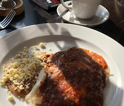 Salicornia, Placeres de Ensenada photo