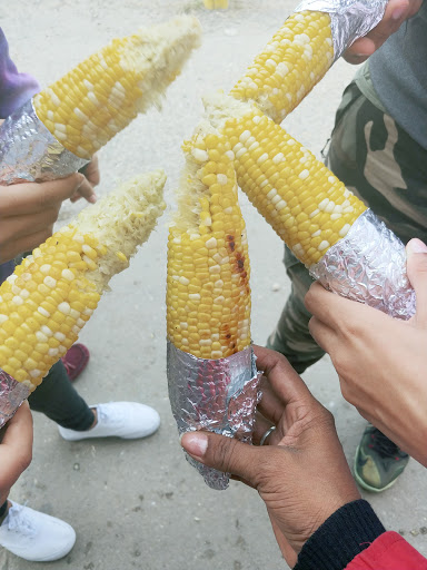 Farm «Lewin Farms», reviews and photos, 812 Sound Ave, Calverton, NY 11933, USA