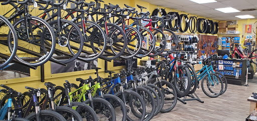Bicycle wholesaler Arlington