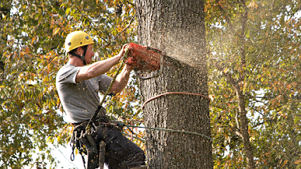 H & H Tree Services