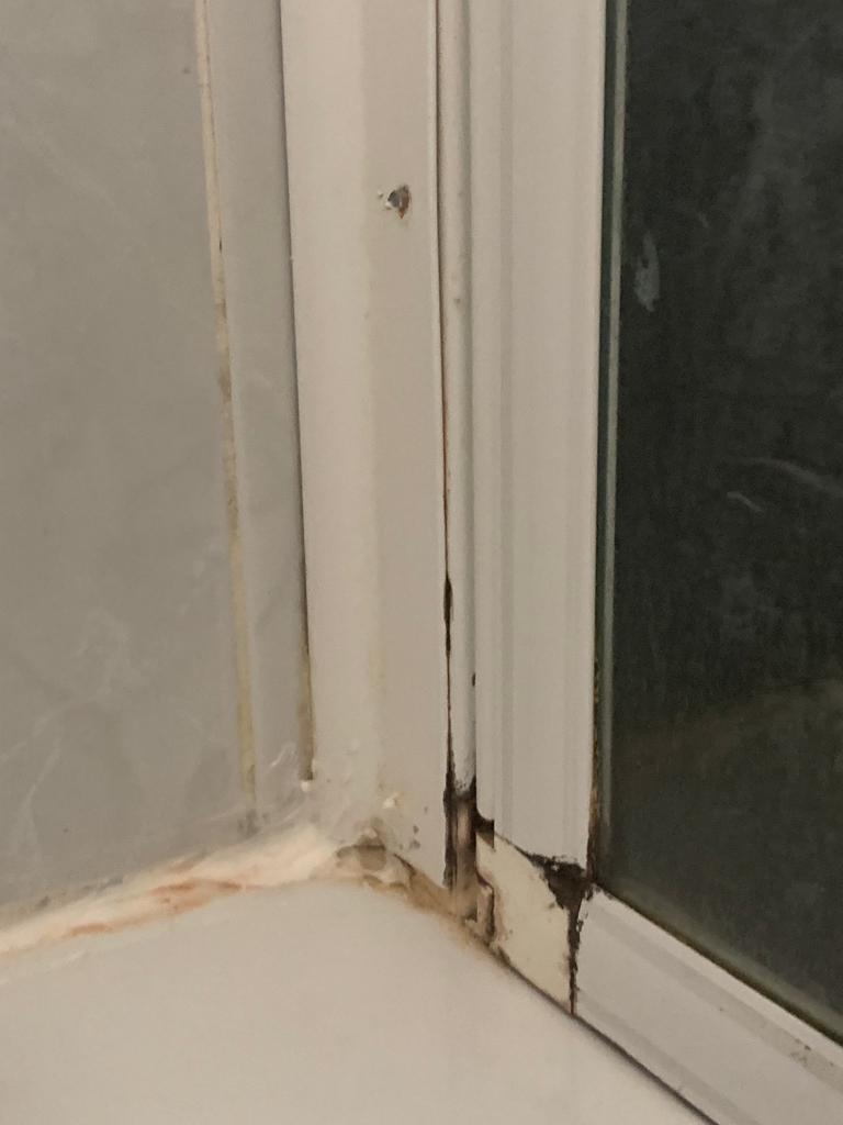 Photo n° 8 de l'avis de Narcisse. fait le 10/05/2023 à 18:23