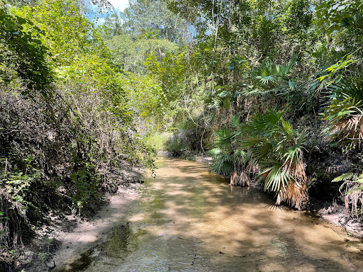 Nature Preserve «Rye Preserve», reviews and photos, 905 Rye Wilderness Trail, Parrish, FL 34219, USA