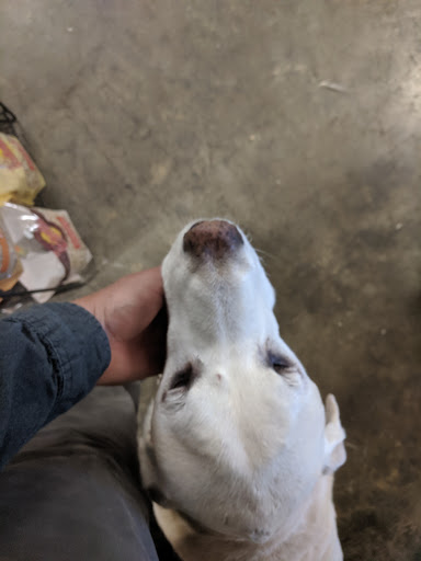 Animal Feed Store «Novato Horse & Pet Supply», reviews and photos, 7546 Redwood Blvd, Novato, CA 94945, USA