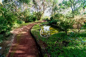 Faial Botanical Garden image