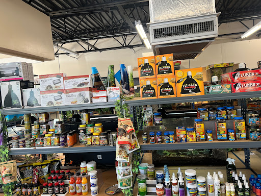 Florida Man Reptiles