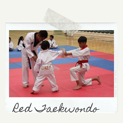 RED TAEKWONDO