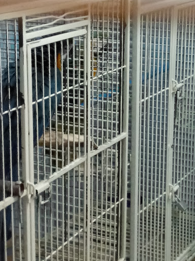 Pet Store «Paraiso De Aves», reviews and photos, 1836 W 47th St, Chicago, IL 60609, USA