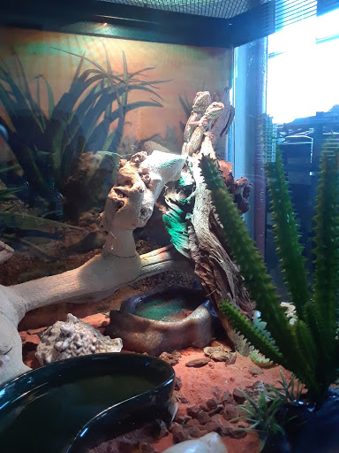 Pet Store «34 Pet Shop», reviews and photos, 3434 W Slauson Ave, Los Angeles, CA 90043, USA