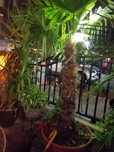 Park «Donnelly Park», reviews and photos, 530 N Donnelly St, Mt Dora, FL 32757, USA