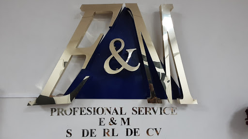Profesional Service E&M S de RL de CV