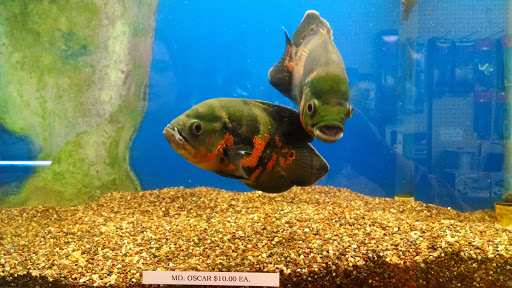 Pet Store «Marineland Pet Center», reviews and photos, 412 Oak Forest Dr, Onalaska, WI 54650, USA