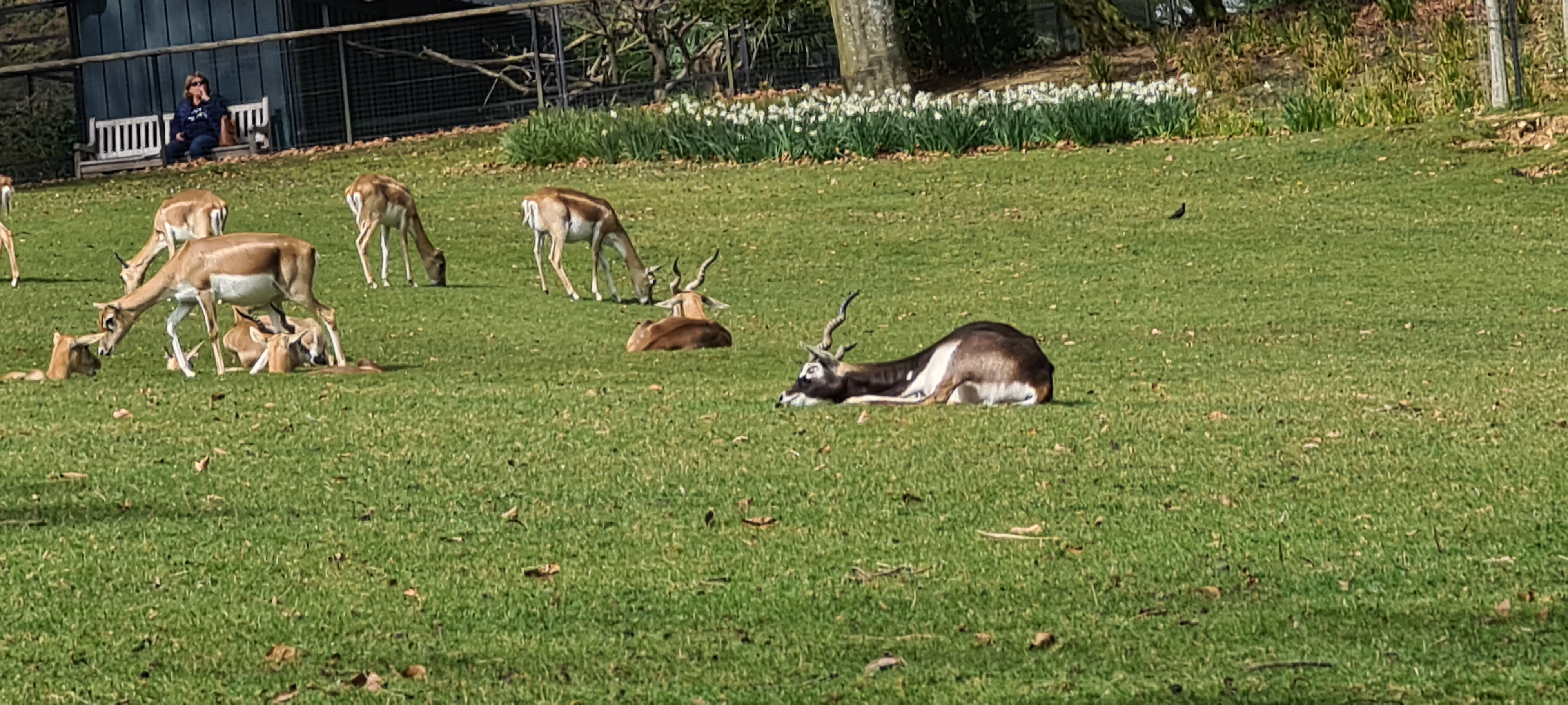 Photo n° 1 de l'avis de René.E fait le 14/04/2022 à 20:28