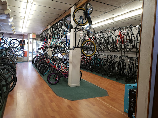 Bicycle Store «Pelham Bicycle Center», reviews and photos, 109 Wolfs Ln, Pelham, NY 10803, USA