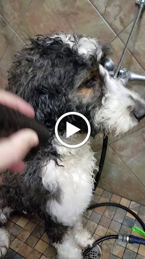 Pet Supply Store «Pet Valu», reviews and photos, 18115 Town Center Dr, Olney, MD 20832, USA