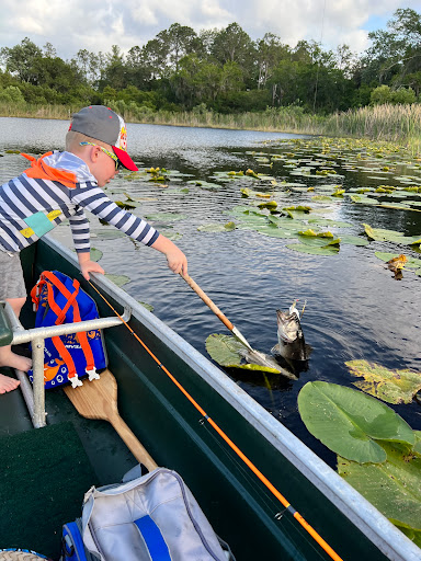 Park «Lake Park», reviews and photos, 17302 N Dale Mabry Hwy, Lutz, FL 33548, USA