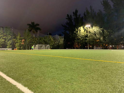 Flamingo Park Soccer Field (FPSF)