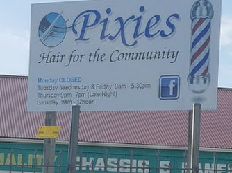 Pixies - Hair For the Community