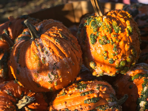 Produce Market «Washington Fruit Place At Barrett Orchards», reviews and photos, 1209 Pecks Canyon Rd, Yakima, WA 98908, USA