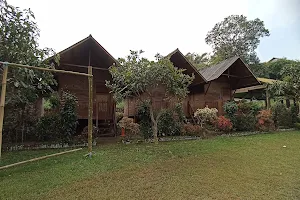 Dusun Sahabat Alam image