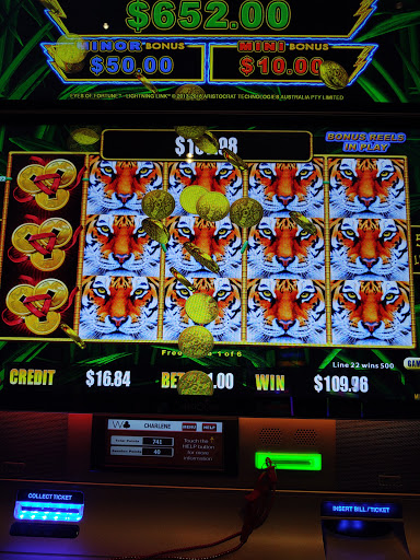 Casino «Four Winds Casino Dowagiac», reviews and photos, 58700 M-51, Dowagiac, MI 49047, USA