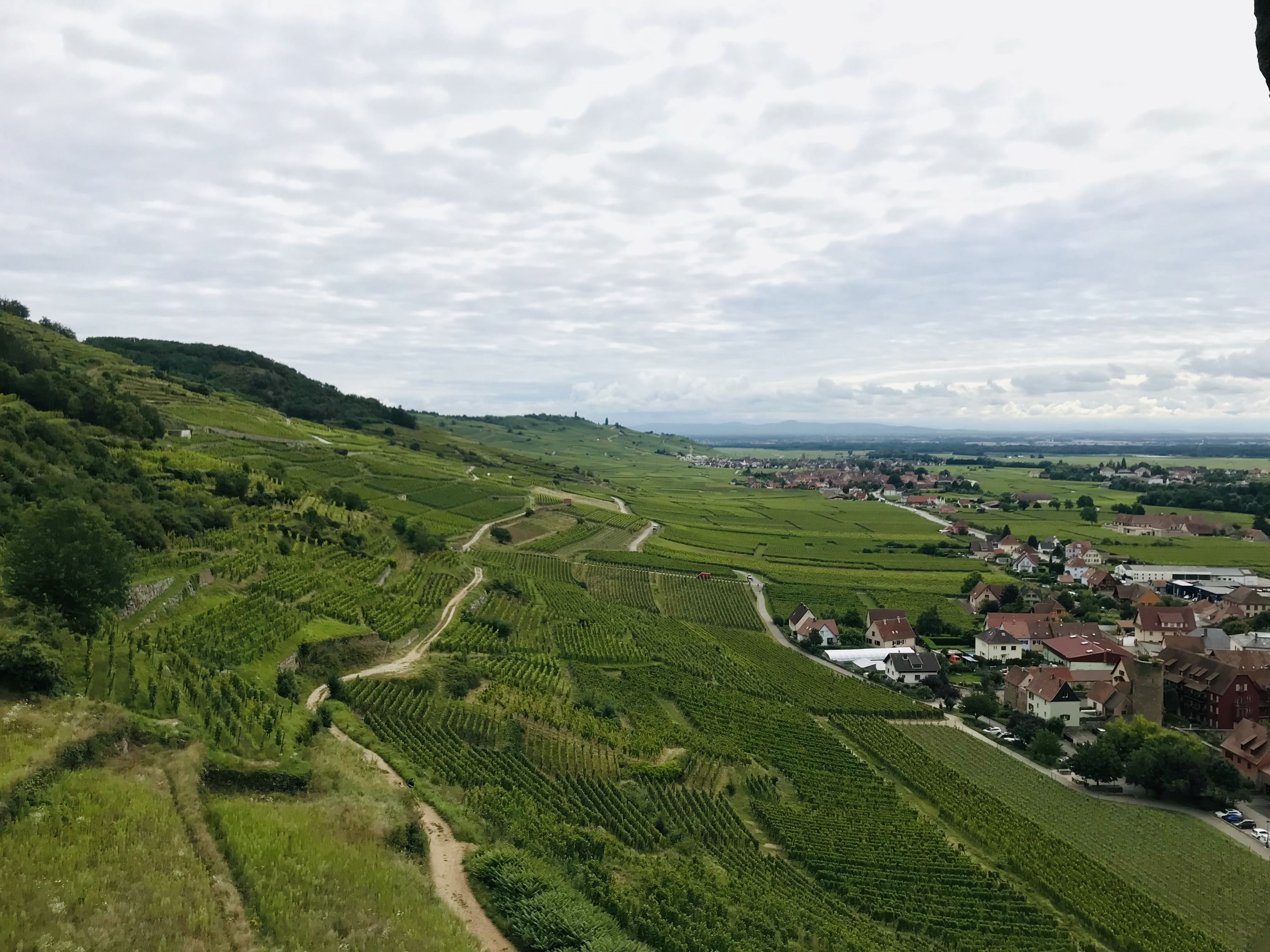 Photo n° 7 de l'avis de B2n. fait le 20/08/2021 à 13:42