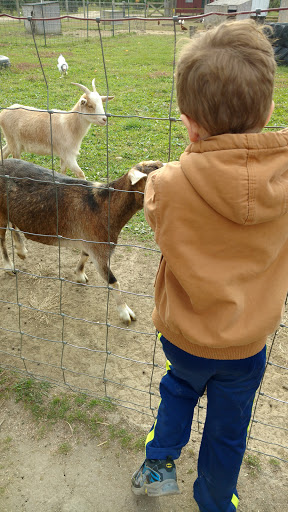 Christmas Tree Farm «Piney Acres», reviews and photos, 1115 E 1000 N, Fortville, IN 46040, USA