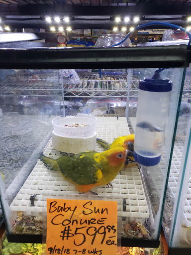 Pet Store «Fish-N-Pets Unlimited», reviews and photos, 11710 Bissonnet St, Houston, TX 77099, USA