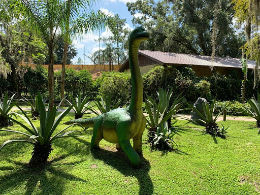 Theme Park «Dinosaur World», reviews and photos, 5145 Harvey Tew Rd, Plant City, FL 33565, USA