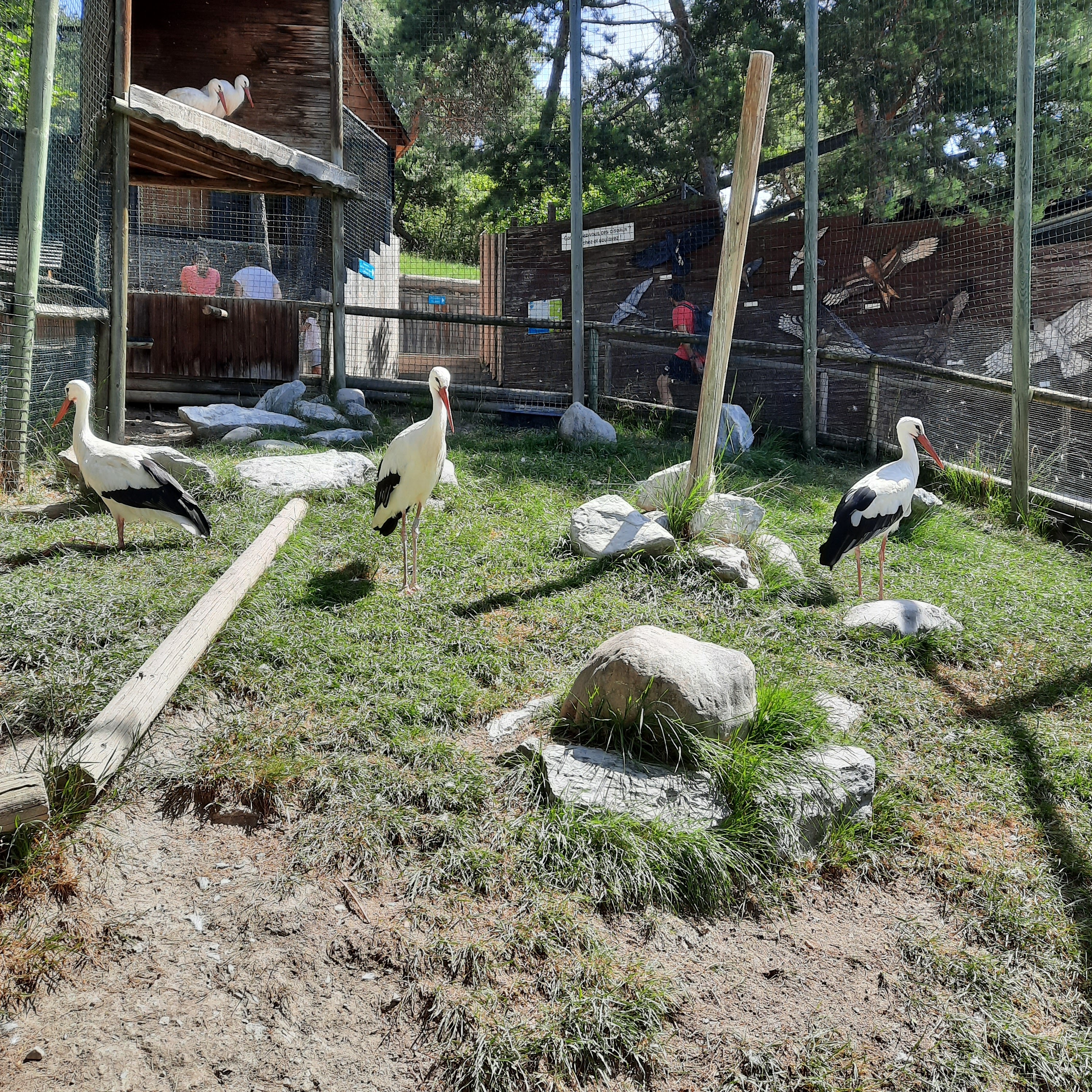 Photo n° 8 de l'avis de Caro66.l fait le 27/06/2022 à 06:06